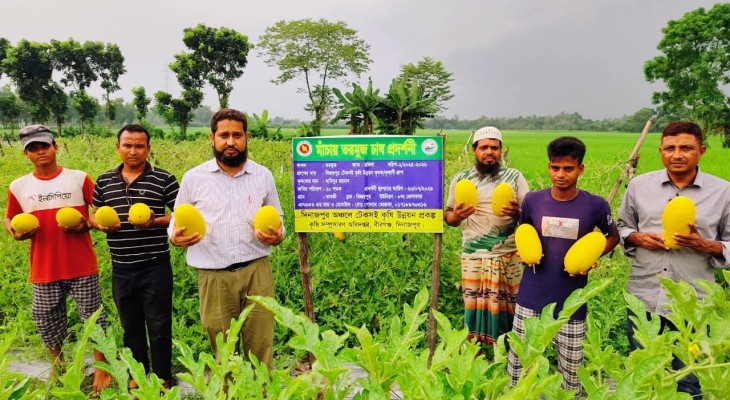 বীরগঞ্জে হলুদ তরমুজ চাষে তরুণ কৃষক হাবিবুরের সাফল্য